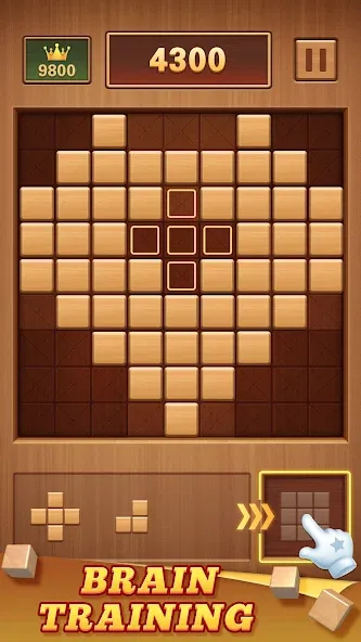 Wood Block 99 - Sudoku Puzzle (Вуд Блок 99)  [МОД Много денег] Screenshot 2