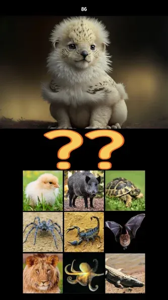 Hybrid Animals Crazy Lab Quiz (Хибридные животные Сумасшедшая лаборатория Викторина)  [МОД Unlocked] Screenshot 5