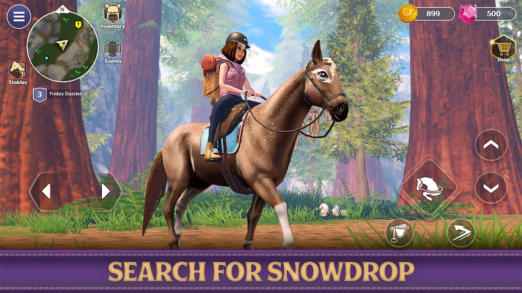 Star Equestrian - Horse Ranch (Стар Иквестриан)  [МОД Mega Pack] Screenshot 3