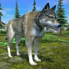 Взлом Wolf Simulator - Animal Games  [МОД Много денег] - стабильная версия apk на Андроид