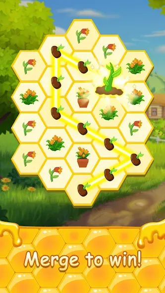 Honey Bottles - merge puzzle (Хани Ботлс)  [МОД Много монет] Screenshot 2