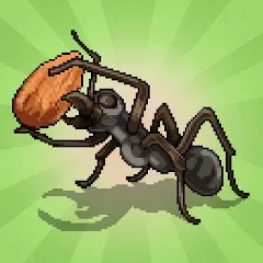 Взломанная Pocket Ants: Colony Simulator (Покет Муравьи)  [МОД Unlimited Money] - полная версия apk на Андроид