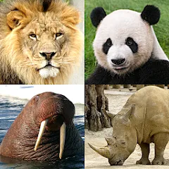 Скачать взломанную Animals Quiz Learn All Mammals  [МОД Много денег] - полная версия apk на Андроид