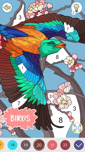 Color by Number: Coloring Book  [МОД Бесконечные монеты] Screenshot 4