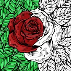 Взлом Color by Number: Coloring Book  [МОД Бесконечные монеты] - стабильная версия apk на Андроид