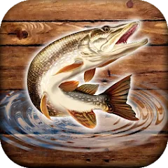 Взлом Fish rain: sport fishing  [МОД Бесконечные монеты] - стабильная версия apk на Андроид