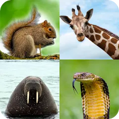 Скачать взломанную Animal Quiz: Guess the Animal  [МОД Unlimited Money] - стабильная версия apk на Андроид