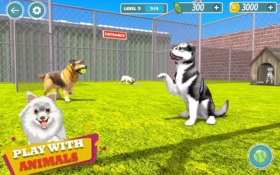 My Pet Animal Shelter World  [МОД Все открыто] Screenshot 5