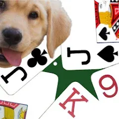 Взломанная K9 Euchre (К9 Юкер)  [МОД Menu] - последняя версия apk на Андроид