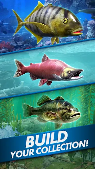 Ultimate Fishing! Fish Game  [МОД Mega Pack] Screenshot 5