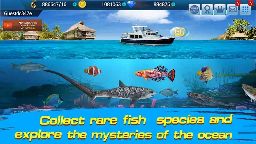 Fishing Championship  [МОД Много монет] Screenshot 3