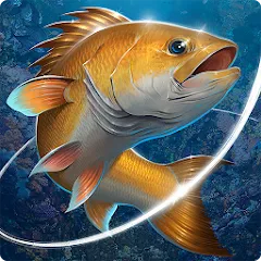 Скачать взлом Fishing Hook  [МОД Mega Pack] - последняя версия apk на Андроид