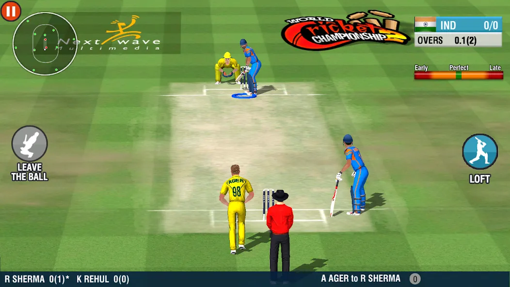 World Cricket Championship 2 (Ворлд Крикет Чемпионшип 2)  [МОД Mega Pack] Screenshot 4