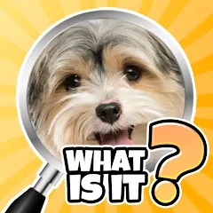 Скачать взломанную What is it? Pics Trivia Quiz  [МОД Бесконечные монеты] - последняя версия apk на Андроид