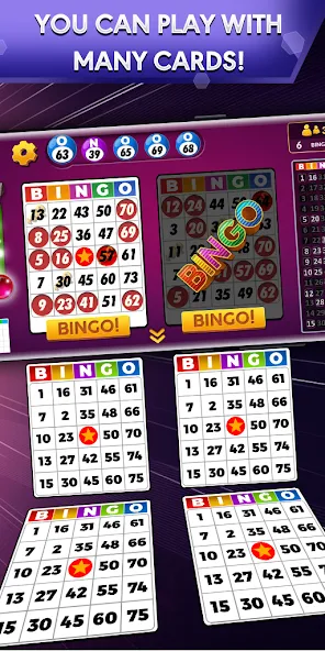 Bingo - Offline Bingo Game  [МОД Menu] Screenshot 1