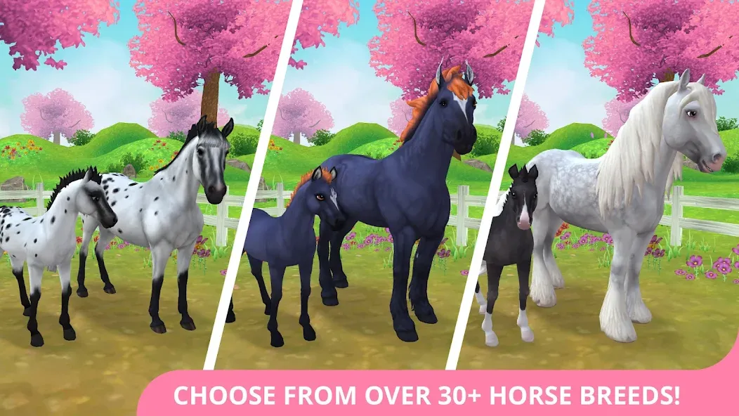 Star Stable Horses (СТар Стабл Хорсес)  [МОД Бесконечные монеты] Screenshot 1