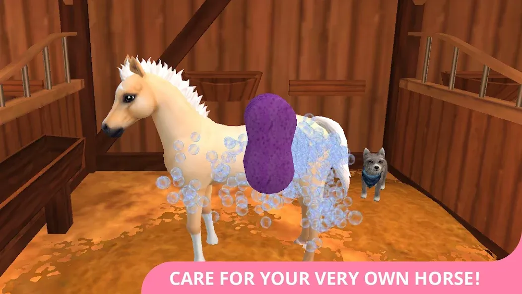 Star Stable Horses (СТар Стабл Хорсес)  [МОД Бесконечные монеты] Screenshot 2