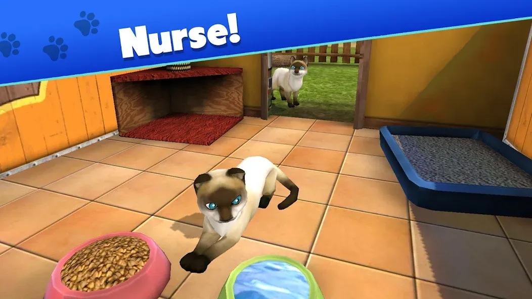 Pet World - My Animal Shelter (Пет Ворлд)  [МОД Unlimited Money] Screenshot 3