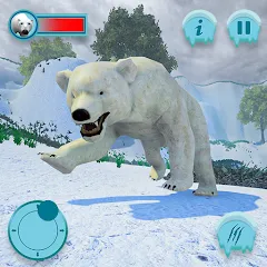 Скачать взлом Polar Bear Family Survival  [МОД Много монет] - стабильная версия apk на Андроид