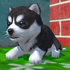 Взломанная Cute Pocket Puppy 3D (Сьют Покет Паппи 3Д)  [МОД Menu] - полная версия apk на Андроид