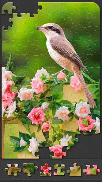 Jigsaw Puzzles for Adults  [МОД Бесконечные монеты] Screenshot 3