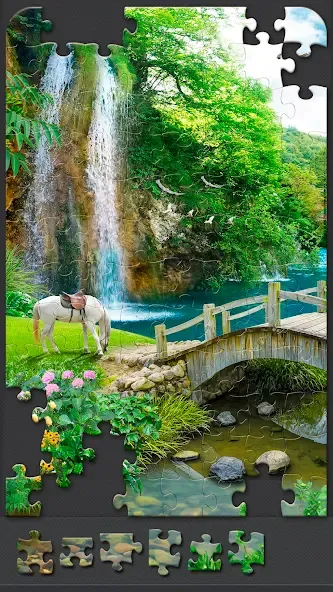 Jigsaw Puzzles for Adults  [МОД Бесконечные монеты] Screenshot 4