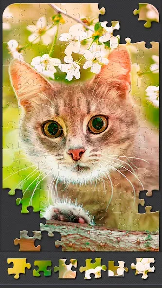 Jigsaw Puzzles for Adults  [МОД Бесконечные монеты] Screenshot 5