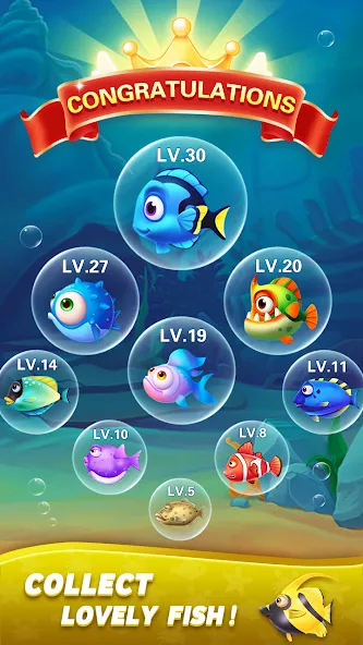 Block Ocean 1010 Puzzle Games (Блок Океан 1010 Головоломки)  [МОД Бесконечные деньги] Screenshot 5