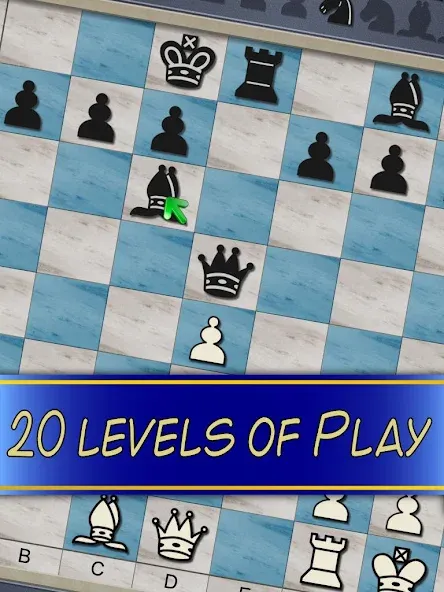 Chess V+ - board game of kings  [МОД Много денег] Screenshot 5