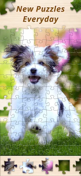 Jigsaw Premium Puzzles HD (Джигсоу)  [МОД Бесконечные деньги] Screenshot 5