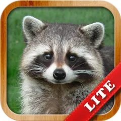 Взломанная Animals for Kids  [МОД Меню] - полная версия apk на Андроид