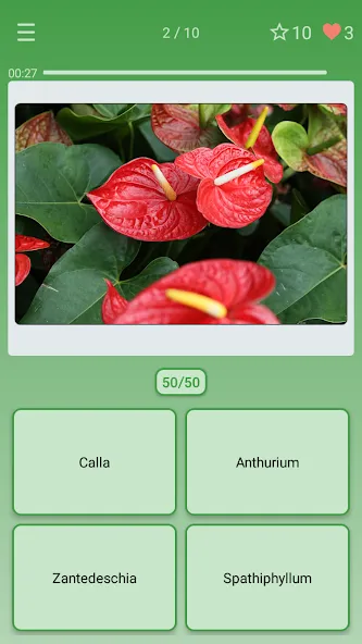 Quiz: Flowers, Plants  [МОД Бесконечные деньги] Screenshot 1