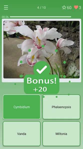 Quiz: Flowers, Plants  [МОД Бесконечные деньги] Screenshot 2