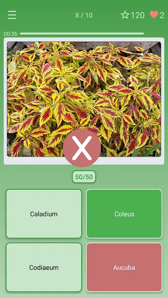 Quiz: Flowers, Plants  [МОД Бесконечные деньги] Screenshot 3